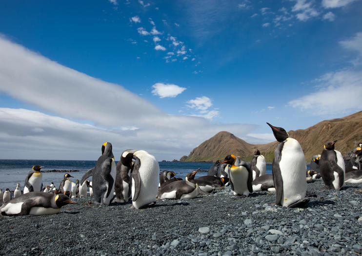 About Usmacquarie Island